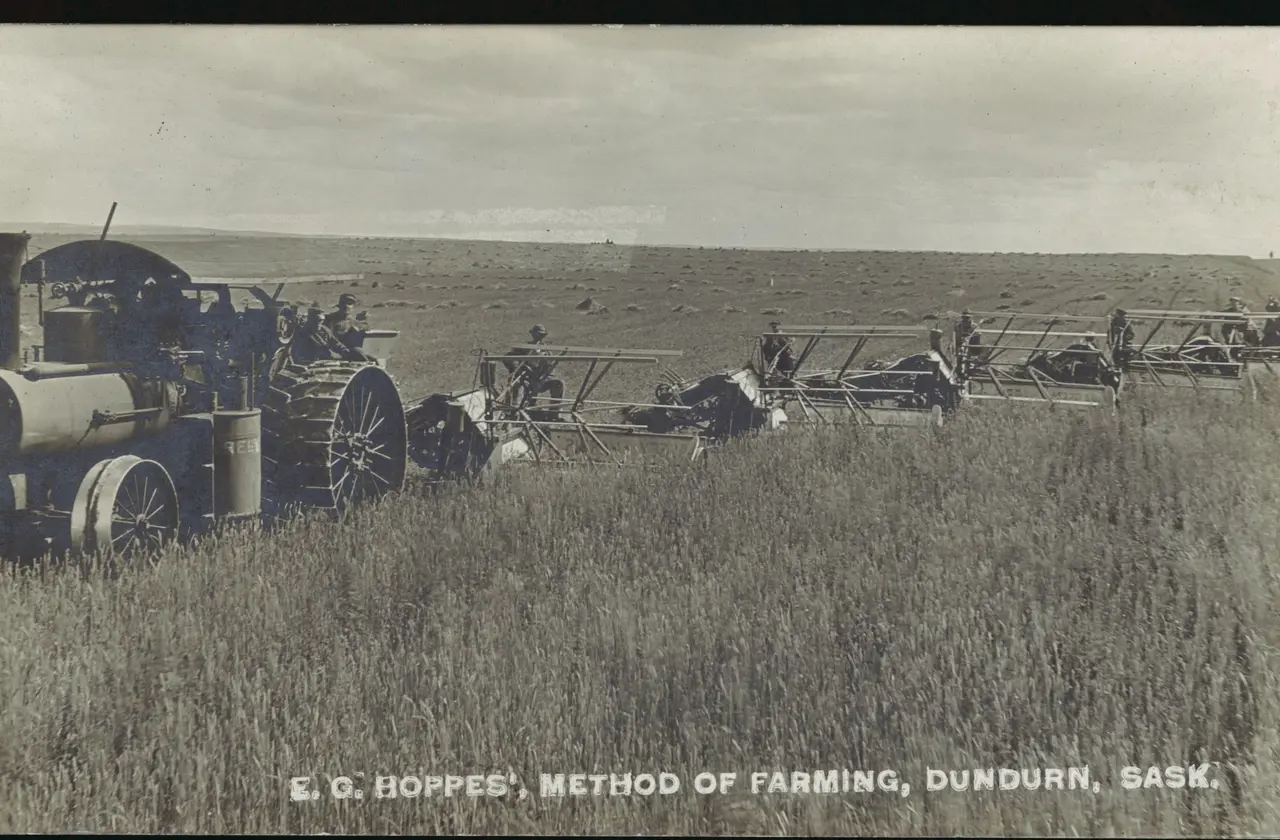 Steam tractor pulling binders harvesting wheat, E. G. Hoppe's farm, 1912