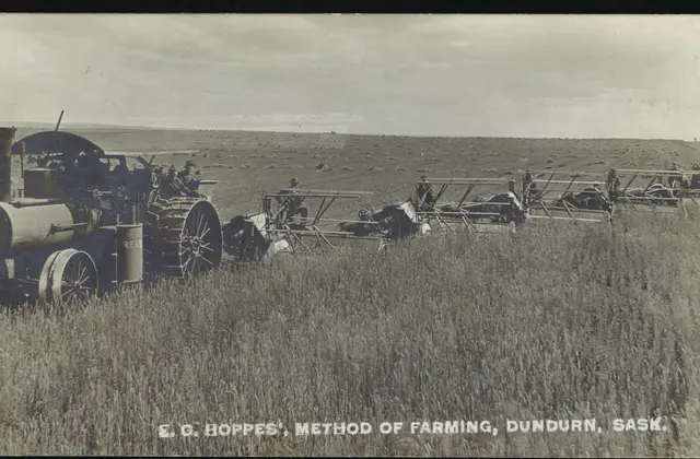 Steam tractor pulling binders harvesting wheat, E. G. Hoppe's farm